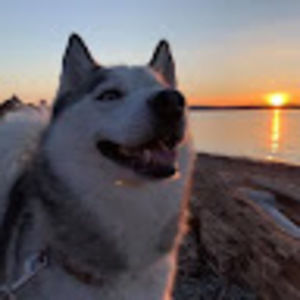 Meet your Posher, Annika